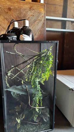 Reptile enclosure