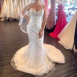 Wedding Dress And Veil
