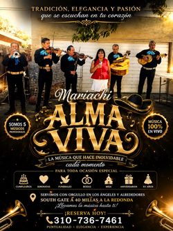 Violines de mariachi música