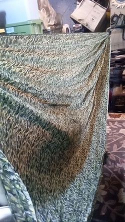 Hammock greenish color