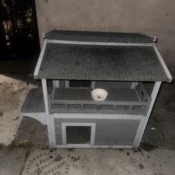 dog or cat house