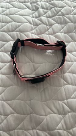 Dog  AirTag collar