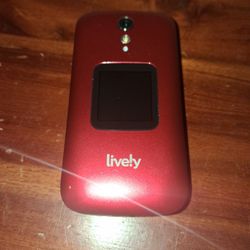 Lively Prepaid Cell Phone Like New