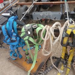 Harnesses 