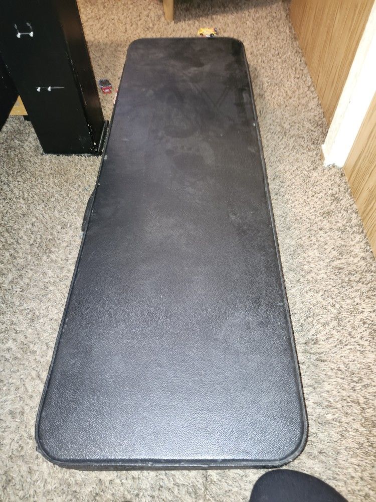 Road Runner Guitar Case