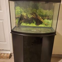 36"  BowFront Fish Tank
