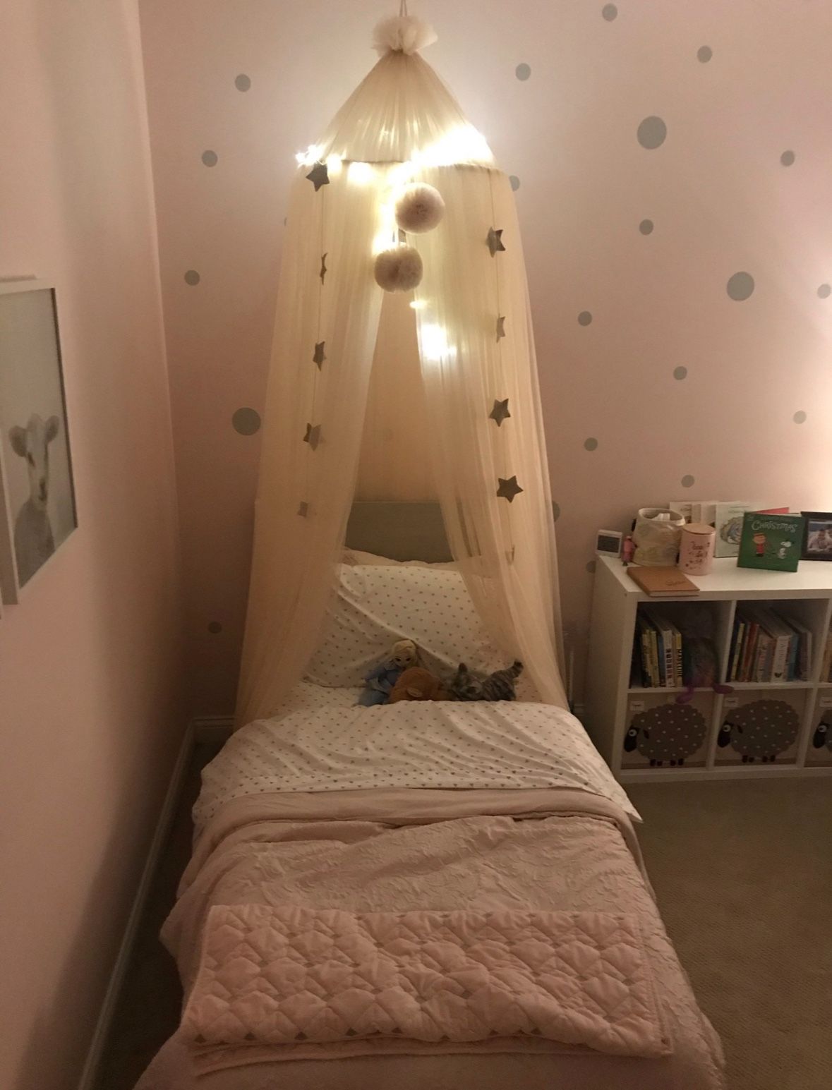 Pale Pink Tulle Canopy