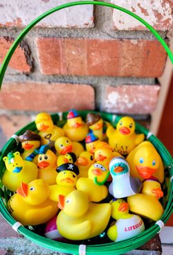 Basket O DUCKS For Easter? 