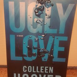 Ugly Love Novel