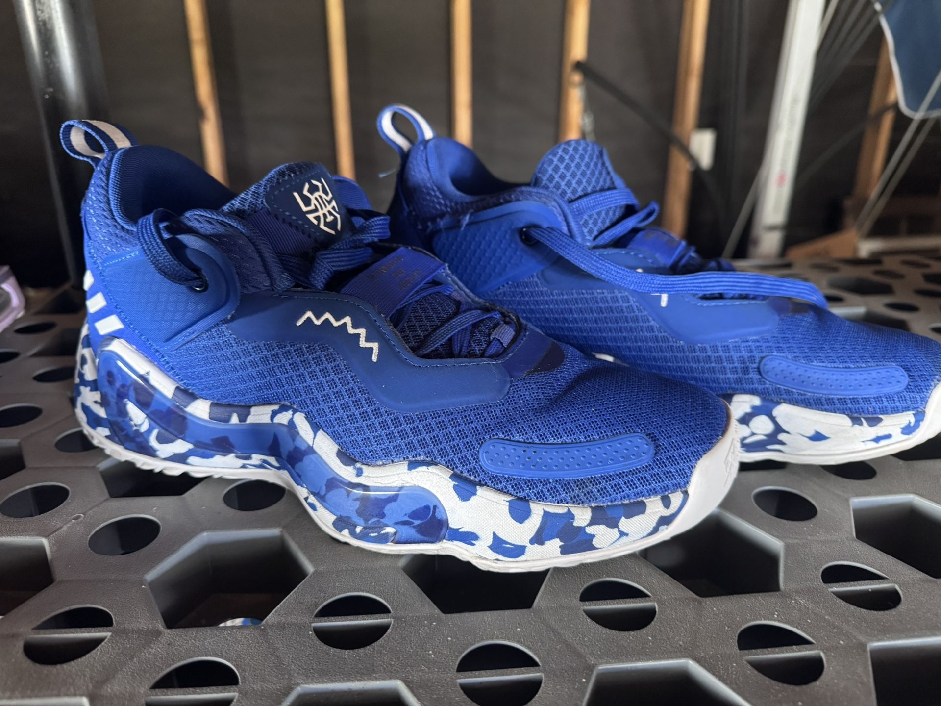 Adidas Shoes