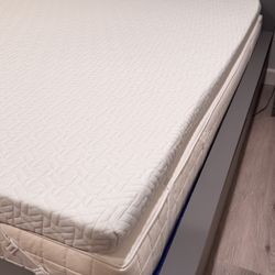 3 inch Queen Mattress Topper (Queen)