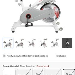 Sunny Premium Indoor Bike