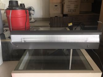 Utility light