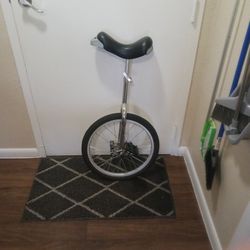 Unicycle 16inch Wheel