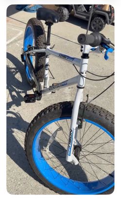 Wide tire bicycle