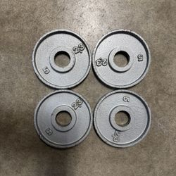 4- 5 lb Weider weight plates