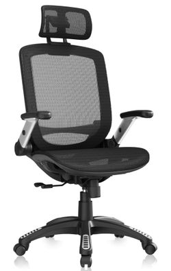GABRYLLY Ergonomic Office Chair