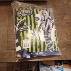 Halloween Beetlejuice Adult Costume
