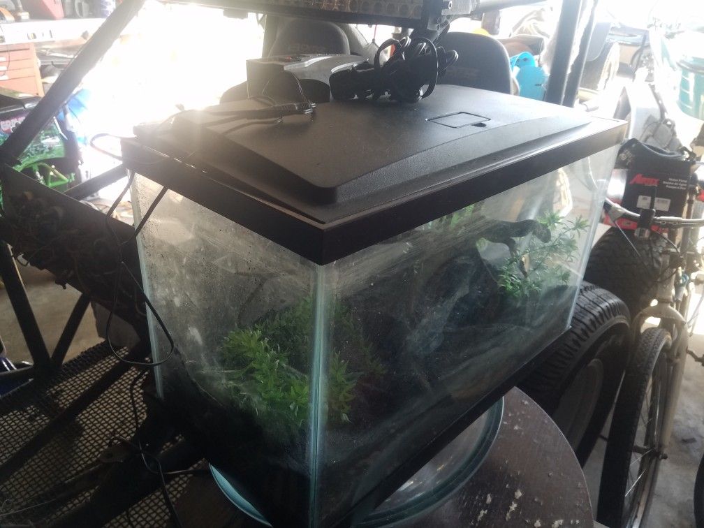 Fish aquarium, LED light, heater, filter system, black sand and decore