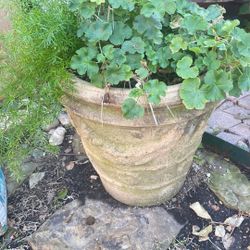 Vintage Clay Pot  Each 