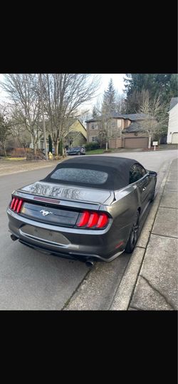 2019 ford mustang