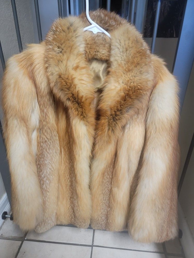 Red Fox walking Jacket