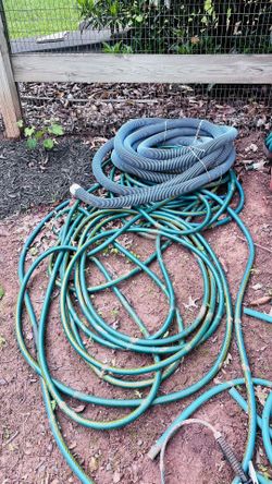 Pool And Garden Hose