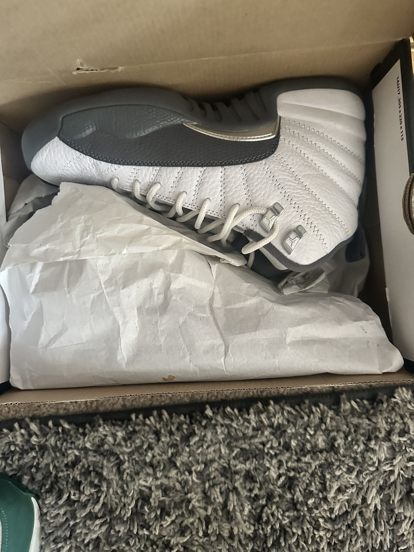 air jordan 12 size 7