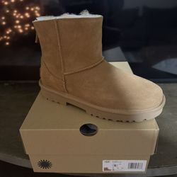 Uggs brand new Zip ups 
