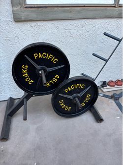 Olimpic weights 2x45.