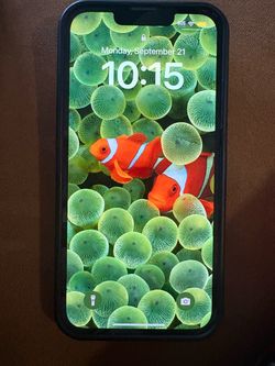 Apple iPhone 13 with Black Case