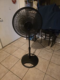 Fan