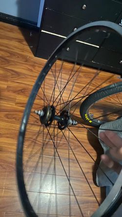 29inch bike rim