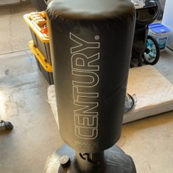 Punching Kicking Bag