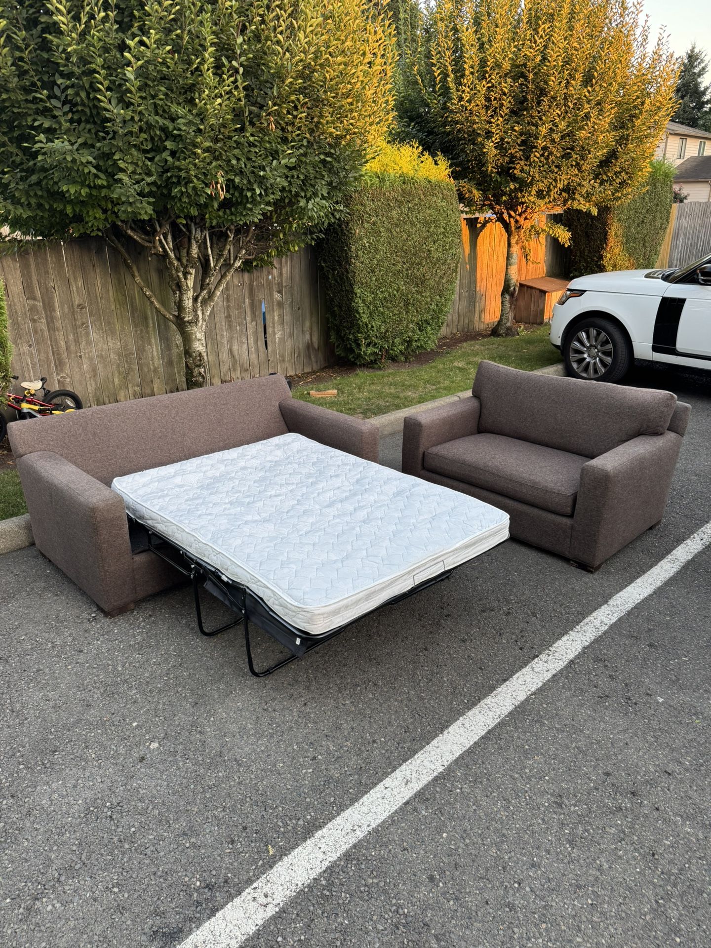 Crate And Barrel Sleeper Couch And armchair Sofa