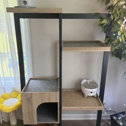 Cat Jungle Gym