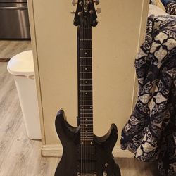 Shecter Guitar