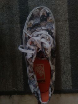 Vans--cats men's 8