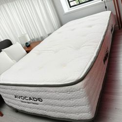 Avocado Twin XL Mattress 