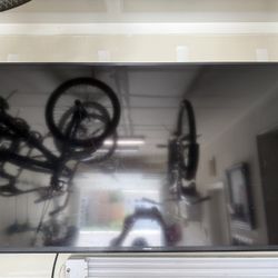 65” Screen Tv