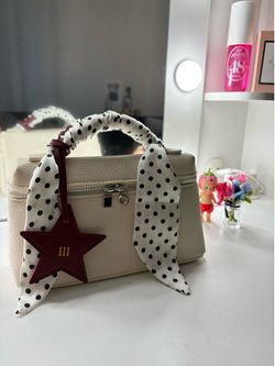 Aesthetic Mini Bag ( white/ black/ dark red)