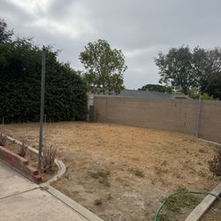 Free Dirt