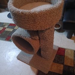 Cat  Play And Sleeps Pen