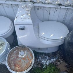 Free Toilet  Working Conditions 