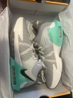 LeBron Sz 10.5 Brand New 