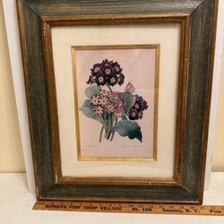 Botanical Print 