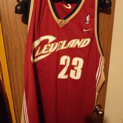 LeBron James Jersey Classic 