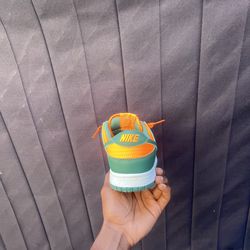 Nike dunk low miami  hurricane