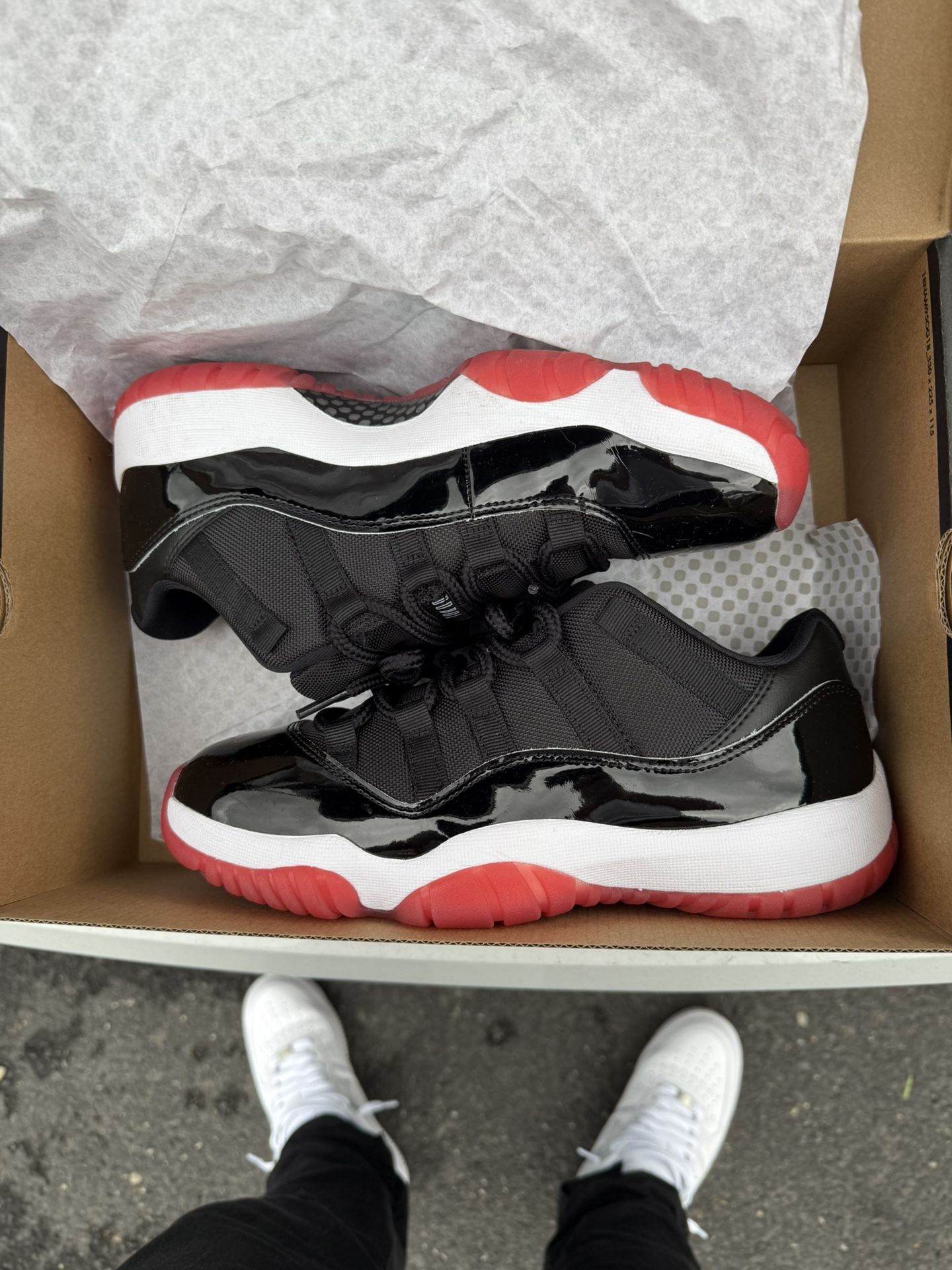 Jordan Retro 11 Lows