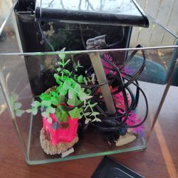Fish Tank